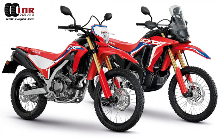 Honda CRF300L /CRF300 RALLY